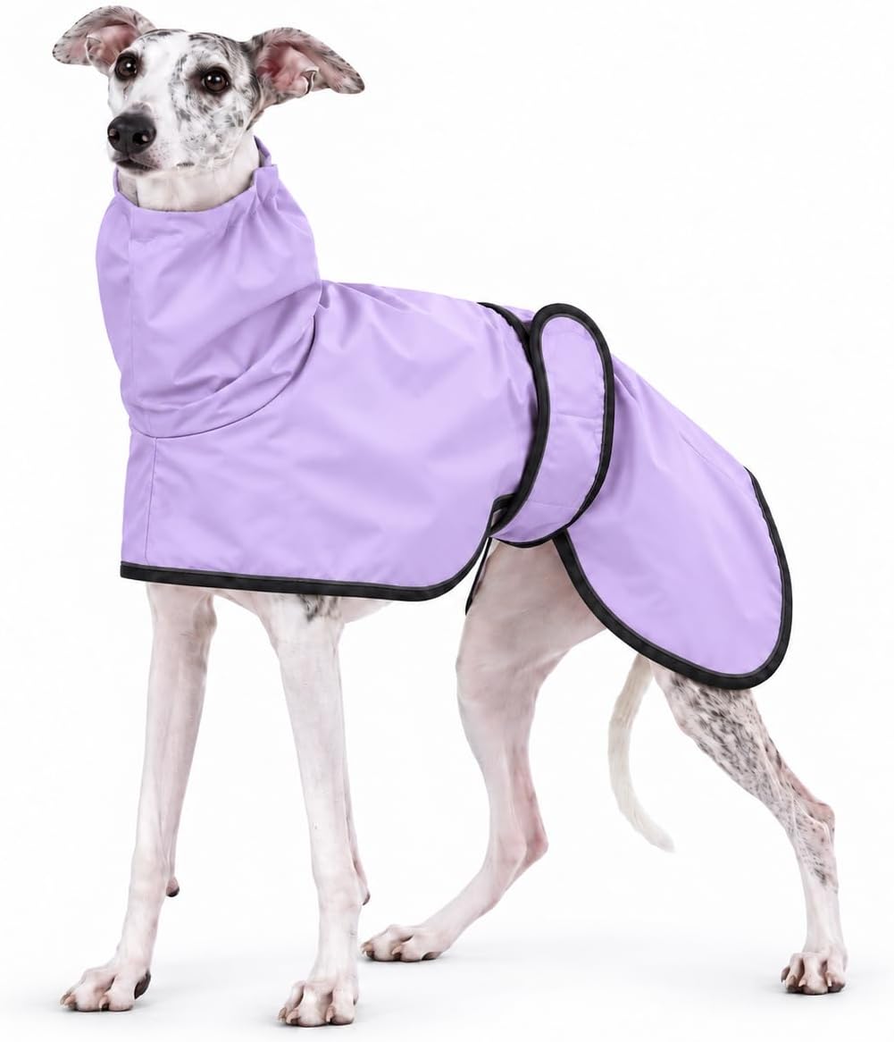 Greyhound Whippet Raincoat Waterproof with Reflective Stripe high Neck fit for Italian Greyhounds Whippets Long Back Breeds - Purple - XL