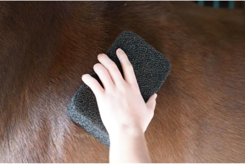 Epona Tigers Tongue Horse Groomer & The Queens Brush Set - Grooming Scrubber Sponge & Hair Brush for Removing Dirt & Dander on Horse's Mane & Tail - for Equestrians and Horse Owners, with E-Book