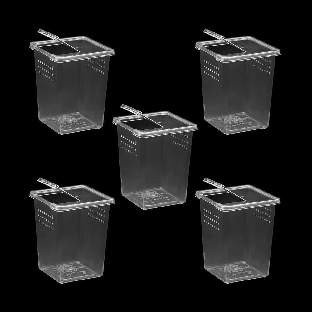 5 Pcs Spider Terrariums Breeding Box, Tall Insect Hatching Container Plastic Feeding Box for Arboreal Small Reptiles Jumping Spider Scorpion Centipede Insect
