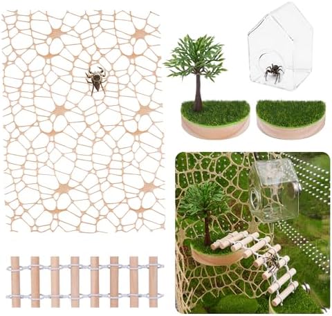 6 Pcs Jumping Spider Enclosure Accessories Kit Magnetic Glass House Jumping Spider Hide Habitat Wooden Forest Platforms Spider Climing Web Ladder for Decor Climbing & Hiding and Resting
