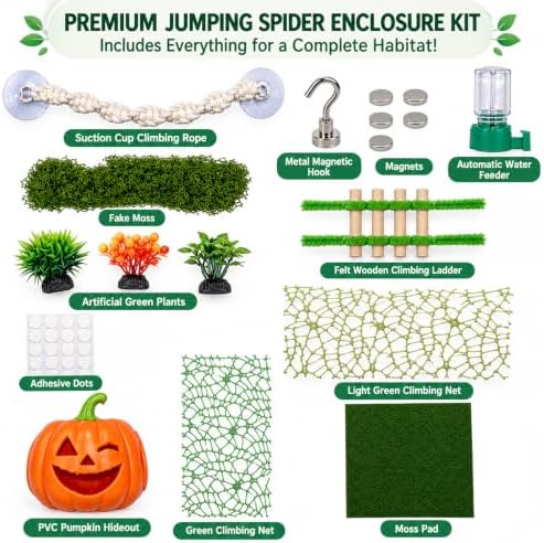 8-piece Jumping Spider Habitat Decoration Set, Pumpkin Hideout