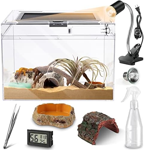 PC Small Reptile Terrarium Starter Kit,Magnetic Jumping Spider Enclosure