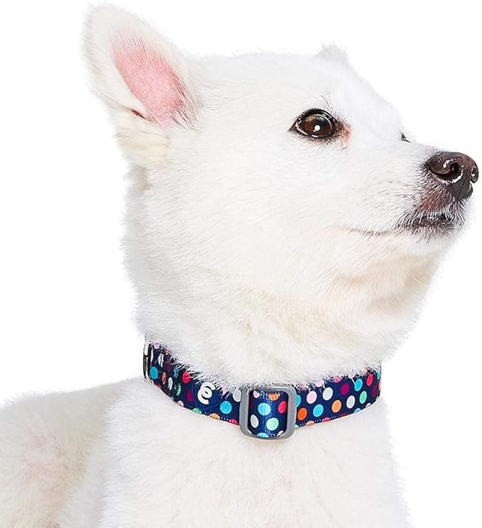 Blueberry Pet Essentials Rainbow Polka Dots Adjustable Dog Collar, Neck - Image 3