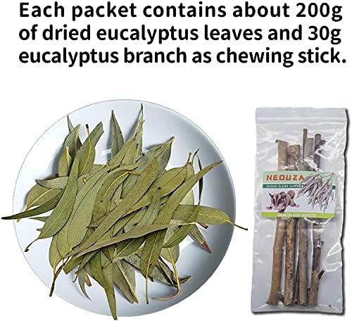 NEOUZA Sugar Glider Bedding, Dried Eucalyptus Leaves and Twigs 7oz/200g