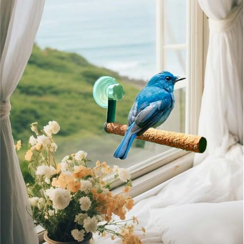 6 Pack Suction Cup Accessory Sets for Brid Perches Brid Stand Sticks Stand Toy Wood Platform for Parrot Parakeet Cockatiel Budgie Suction Cup for Window Bath Shower Car Travel Wall Outdoor Indoor