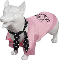 Dogs Pink Jacket Pet Clothes Rydell School Cheerleader Pet Costume