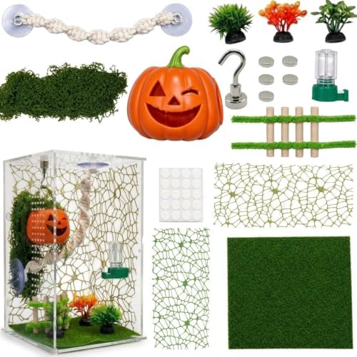 8-piece Jumping Spider Habitat Decoration Set, Pumpkin Hideout