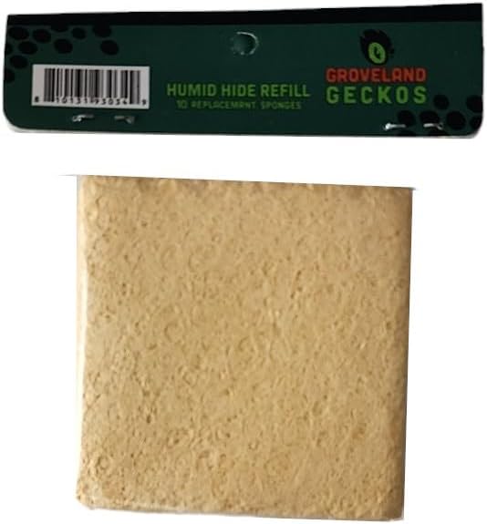 Small Humid Hide for Bearded Dragon, Corn Snake, Ball Python, Crested Gecko, Lizard, Leopard Gecko, Turtle, Tortoise, Frog - 5.75"x3.25"x2.5" with Sponges