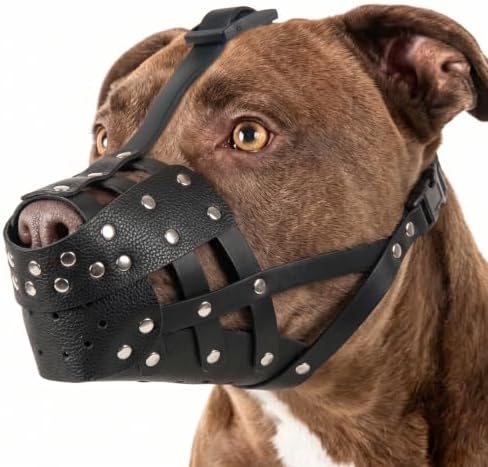 QBLEEV Pitbull Muzzle for Large Dogs, Adjustable Dog Basket Muzzle to Prevent Biting Scavenging, Lightweight & Sturdy Muzzles for Amstaff Staffordshire Terrier German Shepherd in Grooming Training