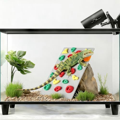 MITCHENIFY Reptile Climbing Wall, Bearded Dragon Accessories Toys
