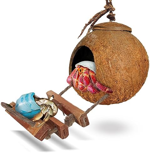 SunGrow Hermit Crab Coco Hut with Ladder, Hamster & Hermit Crab Hideout, Coconut Hide for Reptiles, Crab Cage Climbing Toys, Coconut Shell Mouse House, Habitat Tank Accessories, 5"