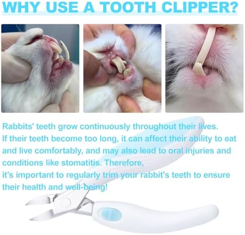 Rabbit Teeth Cutter,Premium Stainless Steel Bunny Tooth Nipper Teeth,5.3inch Tooth Cutter Scissor Sharp and Fast, Safe for Rabbits,for Guinea Pig Chinchilla Bunny Other Small Animals.(Blue)