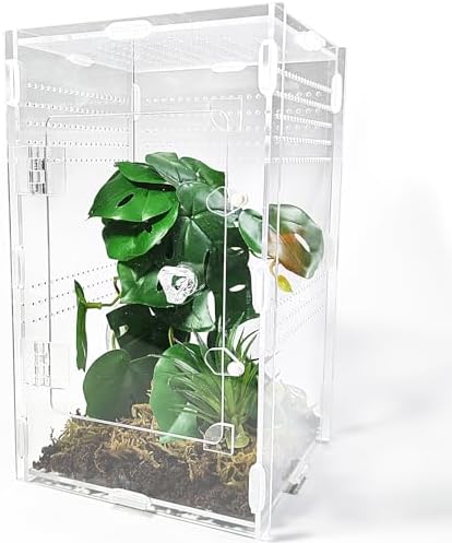 Acrylic Jumping Spider Enclosure Large 6”x6”x10” with Front Door, Arboreal Tarantula Enclosure, Praying Mantis Habitat for Spider, Mantis, Snail, Tarantula, Isopods, Beetles, Millipedes