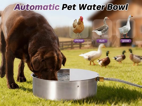 6L Automatic Dog Water Bowl Dispenser Outdoor Stainless Steel Pet Waterer Self - Image 8