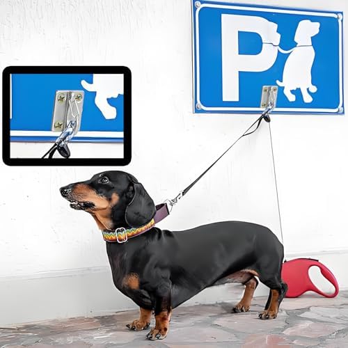 Wall Hook for Dog Leashes,Heavy Duty Stainless Steel Dog Chain Parking Hook for Tie Out in Yard,No Runaway System,Easy to Install,Use Indoor-Outdoor （1-Pack ）