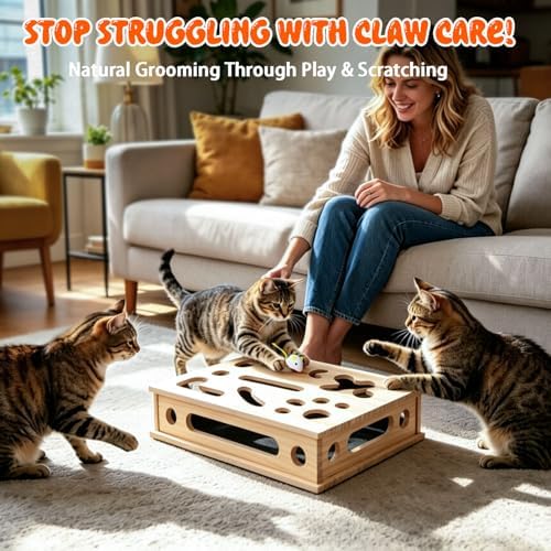 Cat Scratch Puzzle Enrichment Box, Large Cat Nail File Box with Sandpaper
