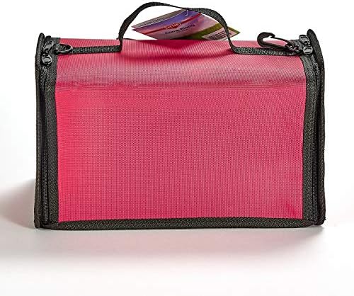Kaytee Come Along Medium Carrier, Small Pet Carrier for Guinea Pigs