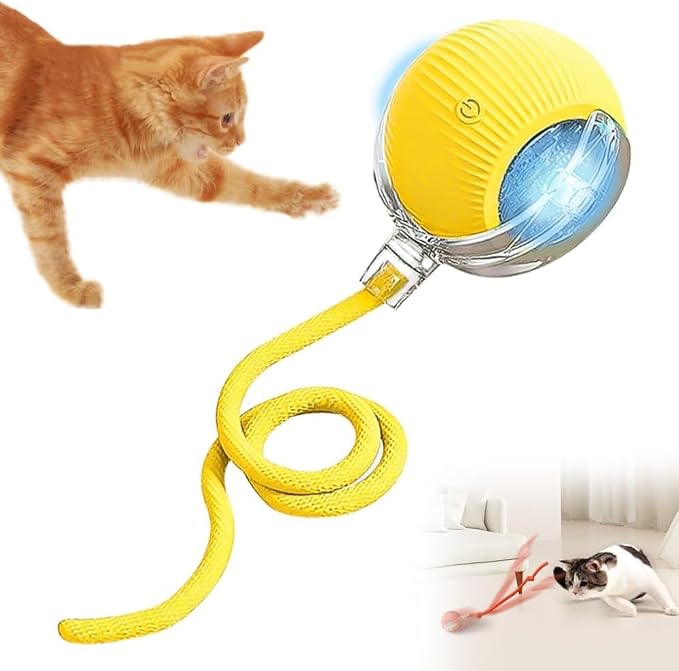 Interactive Cat Toy, Electric DogBall Toy, Cat Toys by Unknown