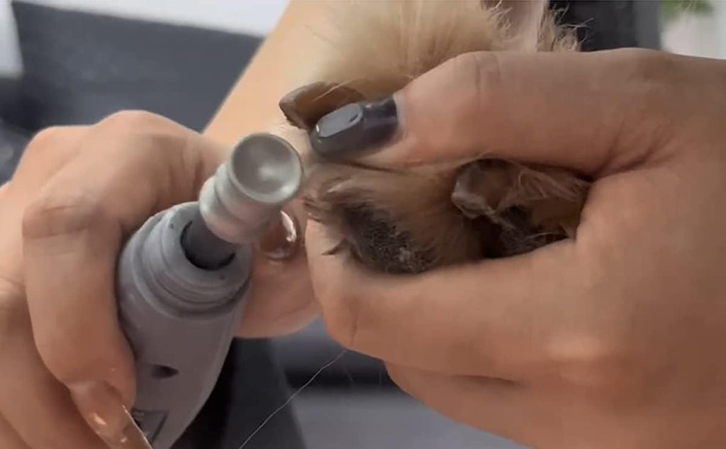 Dog Nail Grooming Tools - Dog Nail Grinder Attachment for Dremel - Diamond Rotary Nail Grinder Bits for Small Medium Dogs Cats and Animals (L)