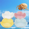 4 Pack Ceramic Food & Water Bowls Dual Dish Reptile Feeding Set for Hermits Crabs, Lizards, Geckos, Small Snakes and Snails