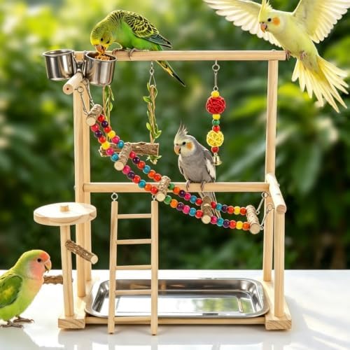 Wood Bird Playground, Bird Play Stand with Removable Tray, Feeder Cups, Ladder, Swing & Chew Toys for Cockatiel, Parakeet