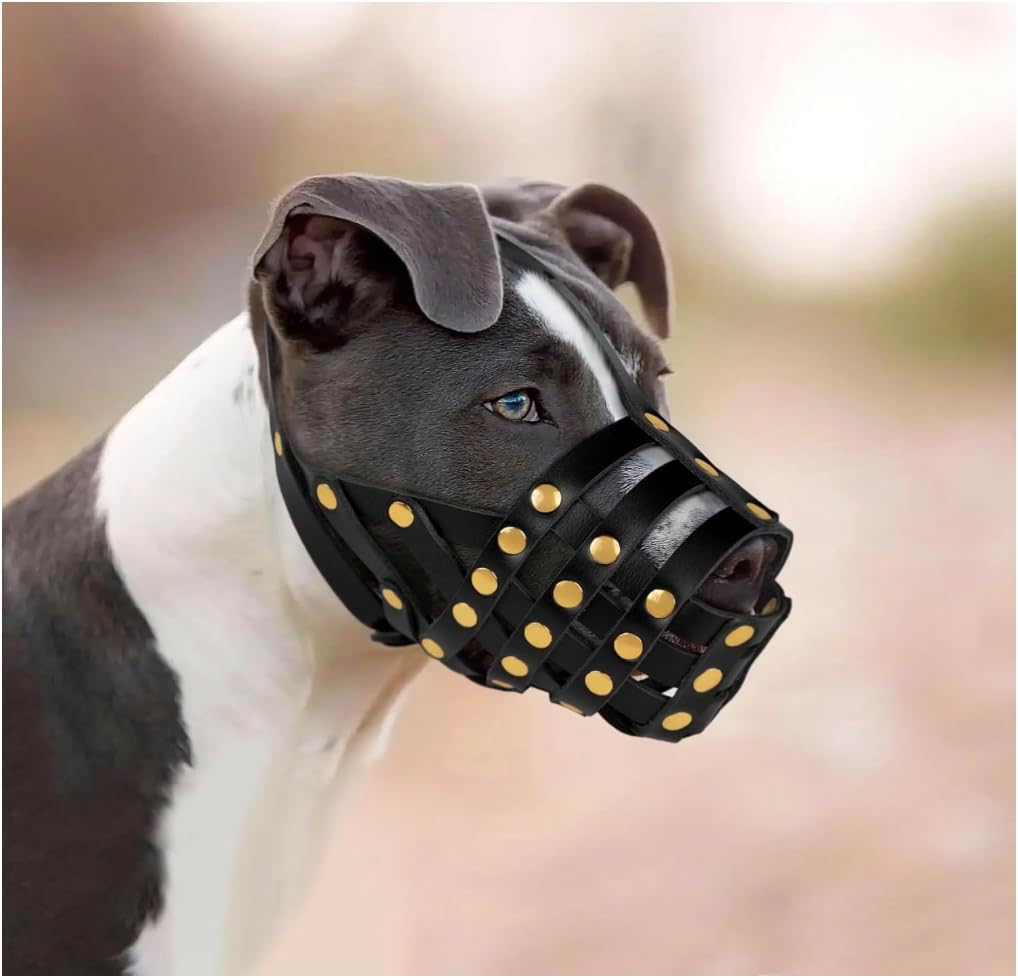 OOPSDOGGY Pitbull Dog Muzzle for Large Dogs - Leather Breathable Secure Basket Muzzle for Medium Large Breeds Prevents Biting No Chewing Amstaff Staffordshire Terrier (Black)