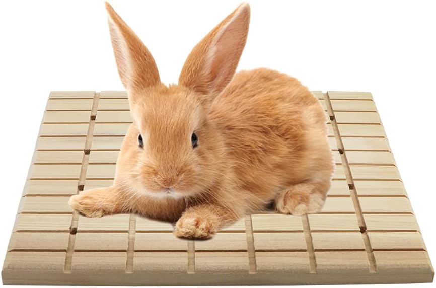 Litewoo Rabbit Scratch Board Claws and Teeth Care Chew Toys Bunny Wood Pad