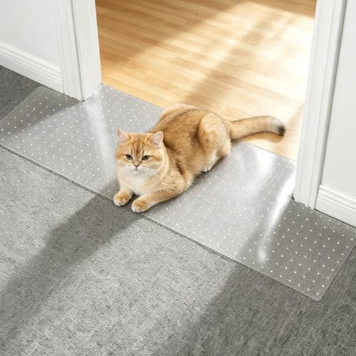 2 Pack Cats Carpet Protector for Pets, 3.6FT Plastic Rug Protector