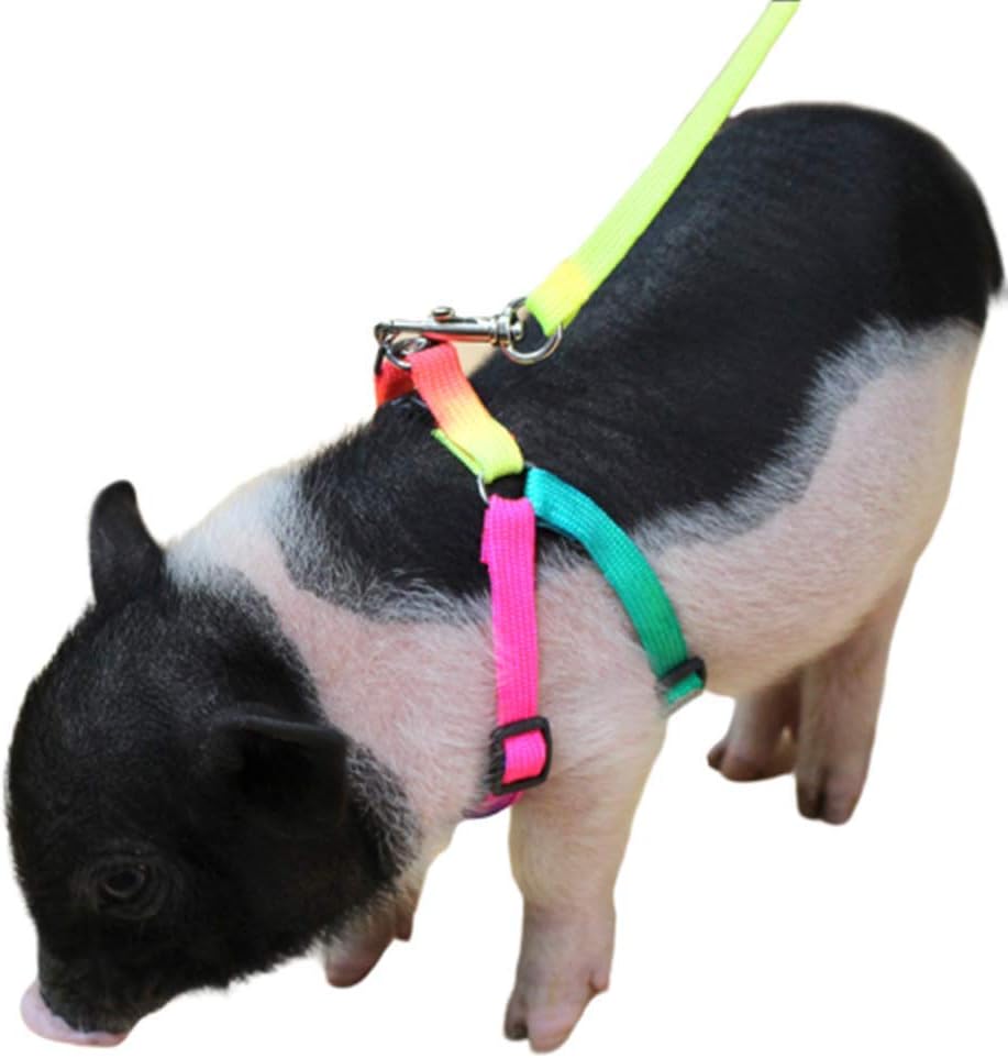 Mini Pig Adjustable Harness Leash for Hog Piggy