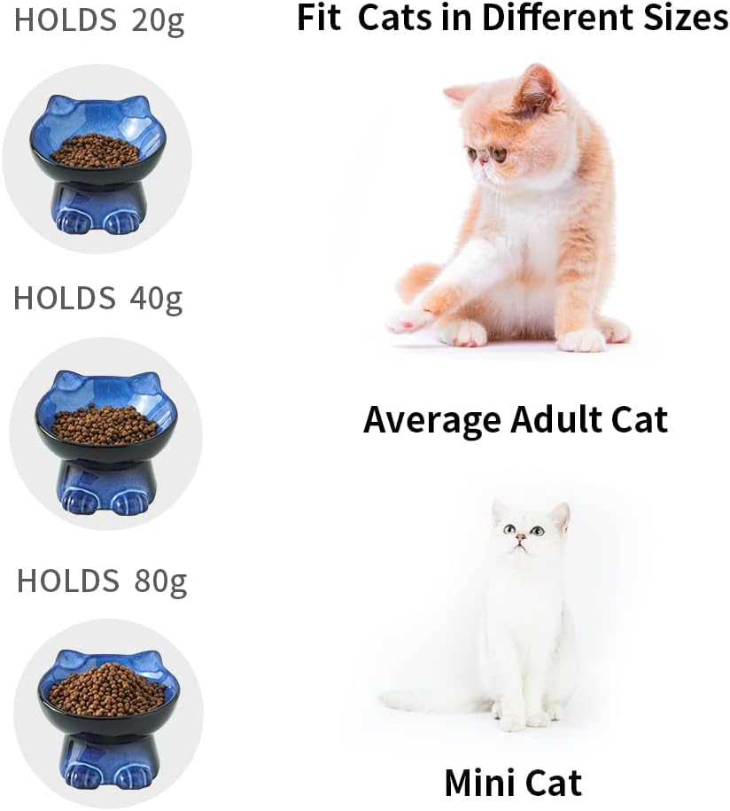 Nihow Elevated Cat Bowls,5 Inch Ceramic Raised Cat Food Bowl for Feeding