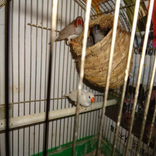 Hamiledyi Bird Nest Grass Bird Hut Outdoor Hanging Birdhouse Canary Nest