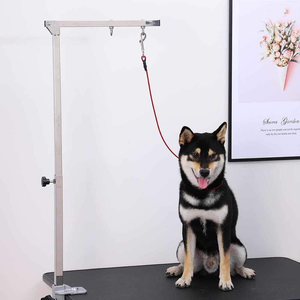 Pet Grooming Loop for Dogs - Fits Most No Sit Haunch Holder Pet Grooming Tubs and Tables Sturdy Steel Wire Rope(3 Packs) (Ring (Red)+No Sit Haunch Holder)