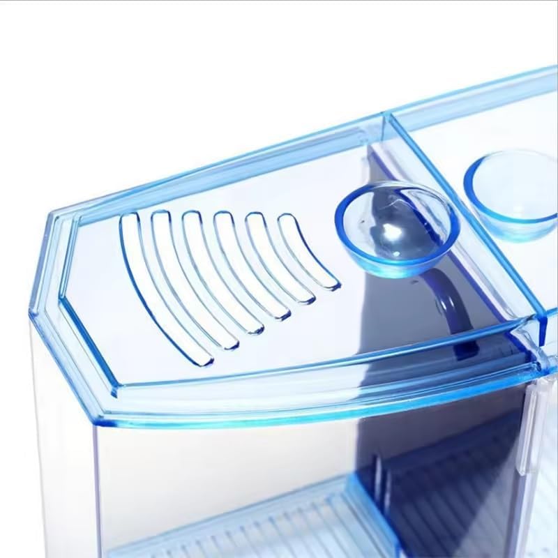 EatingBiting Large Double Compartment Fighting Fish Box Eco Rumble Fish Aquarium Mini Aquarium Plastic Isolation Box Breeding Box Transparent Betta Fish Tank