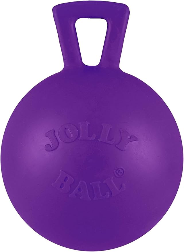 Jolly Pets Tug-n-Toss Heavy Duty Dog Toy Ball - Image 2