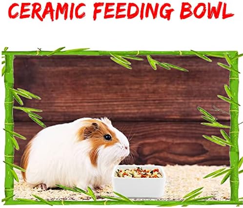 2 Pack Pet Ceramic Food Bowl and Water Dish Feeder for Guinea Pig Hedgehog Squirrel Small Animals (Blue and White)