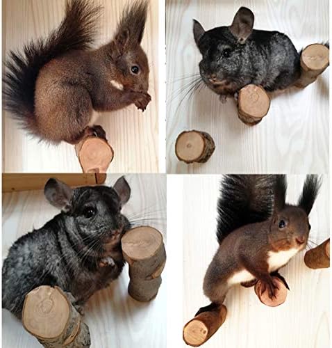 QBLEEV 3 PCS Hamster Chew Toys for Teeth, Chinchilla Cage Stick Accessories