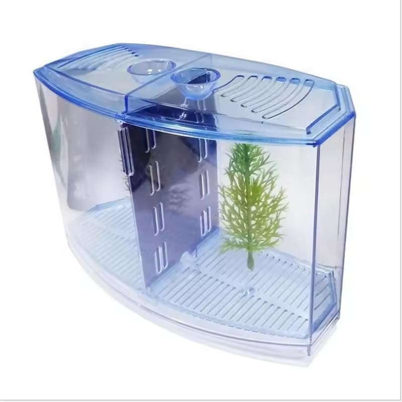 EatingBiting Large Double Compartment Fighting Fish Box Eco Rumble Fish Aquarium Mini Aquarium Plastic Isolation Box Breeding Box Transparent Betta Fish Tank