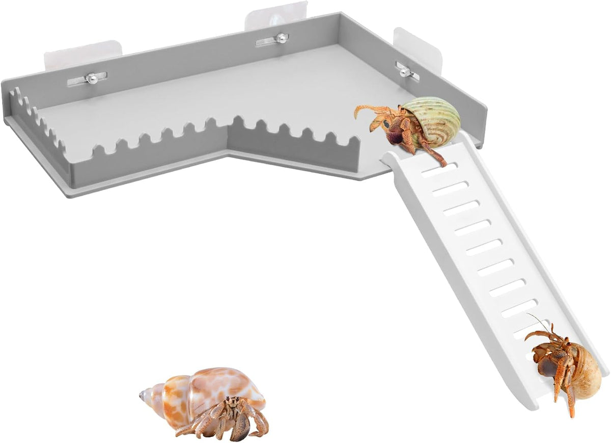 No-Drill Climbing Platform with Ramp, Hermit Crab Climbing Wall & Hideout, Multi-Level Platform with Ladder, No-Tools Mounting for Geckos, Small Lizards, Hamsters