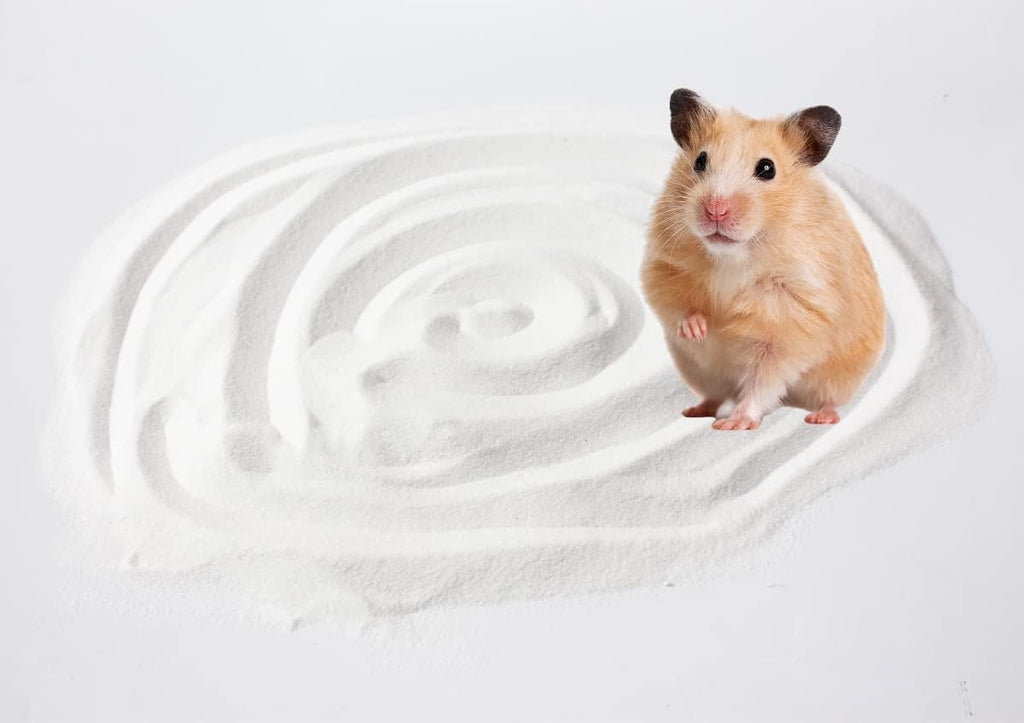 Hamster Bath Sand, 3lb Dust Free Desert Sand or Potty Litter Sand for Hamster Chinchillas Gerbil Syrian Mice Small Animals