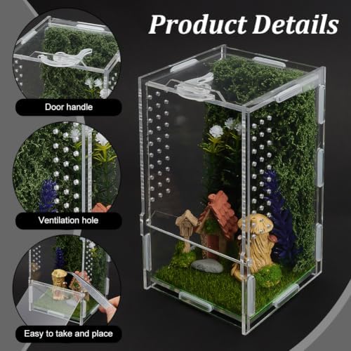 WEBEEDY Jumping Spider Enclosure Kit DIY Insects Habitat, Small Reptile Terrarium Praying Mantis Terrariums Acrylic Terrarium with Complete Habitat Decor for Spider & Insect, 8x8x15cm/3.15x3.15x5.9