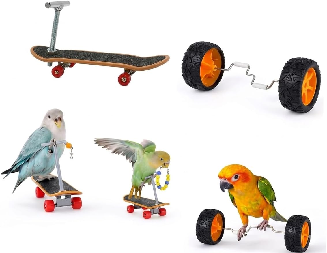 Bird Training Toys Set, 2 Piece Skateboard and Balance Bike for Parrots, Balance Training Accessories (Orange Wheel Core)