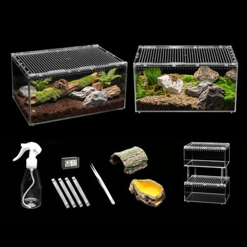 Tarantula Enclosure Small and Kits