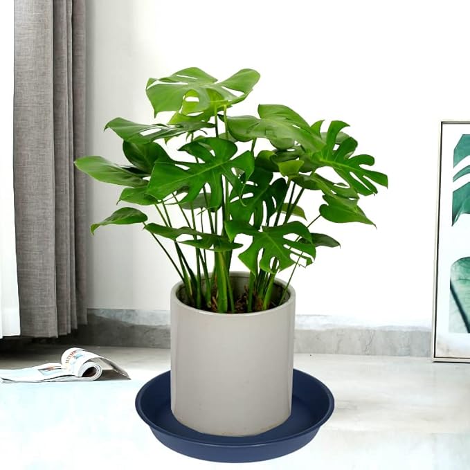 6 Pack Plastic Plant Saucer Planter Water Drip Tray, 4 5 6 7 8 9 10 11 12 inch - Image 4