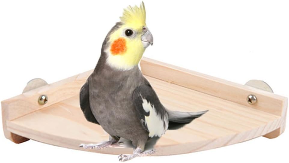 Hypeety Pet Platform Bird Wooden Playground Stand Perch Parakeet Conure Hamster Gerbil Rat Mouse Totoro Cage Accessories Small Animals Stands Exercise Toy