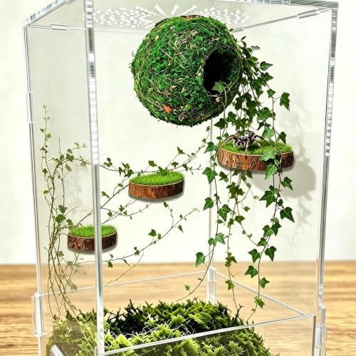 Jumping Spider Accessories, Magnetic Moss Hideout with Resting Platform