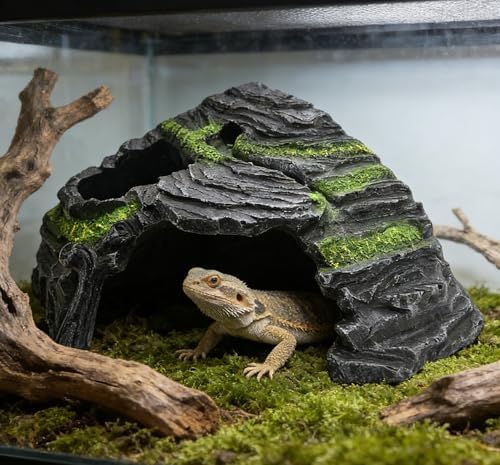 M2cbridge Reptile Hideout Cave Resin Rock Hides Terrarium Habitat Decor(Floating Island)