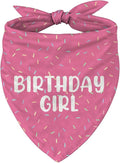 Happy Birthday Dog Bandana, Adjustable Triangle Dog Bandana by Unknown
