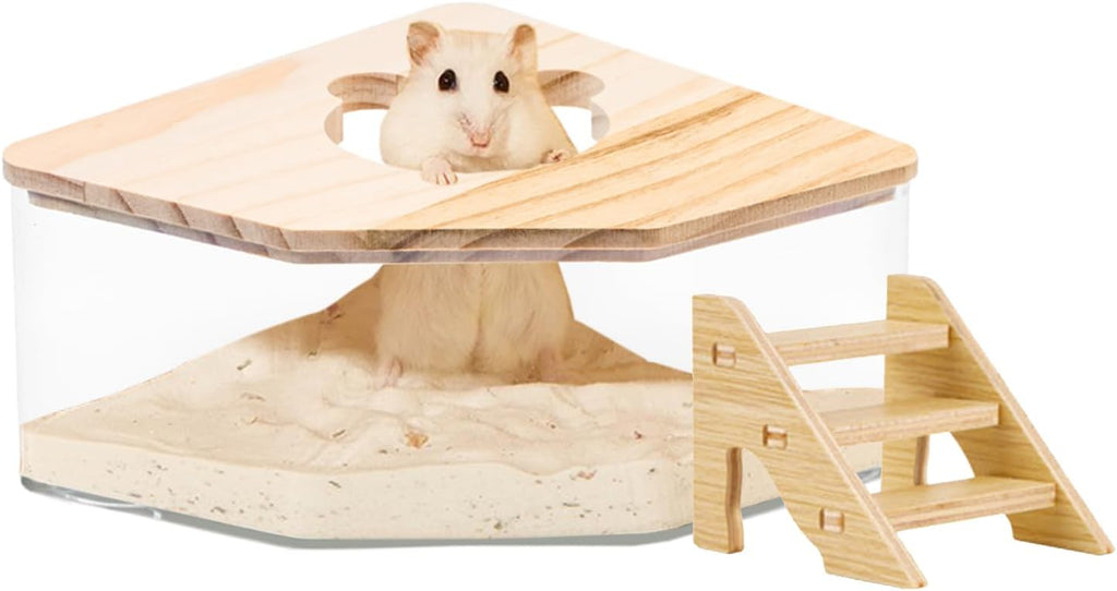 Hamster Sand Bath Container with Ladder, 1 Count