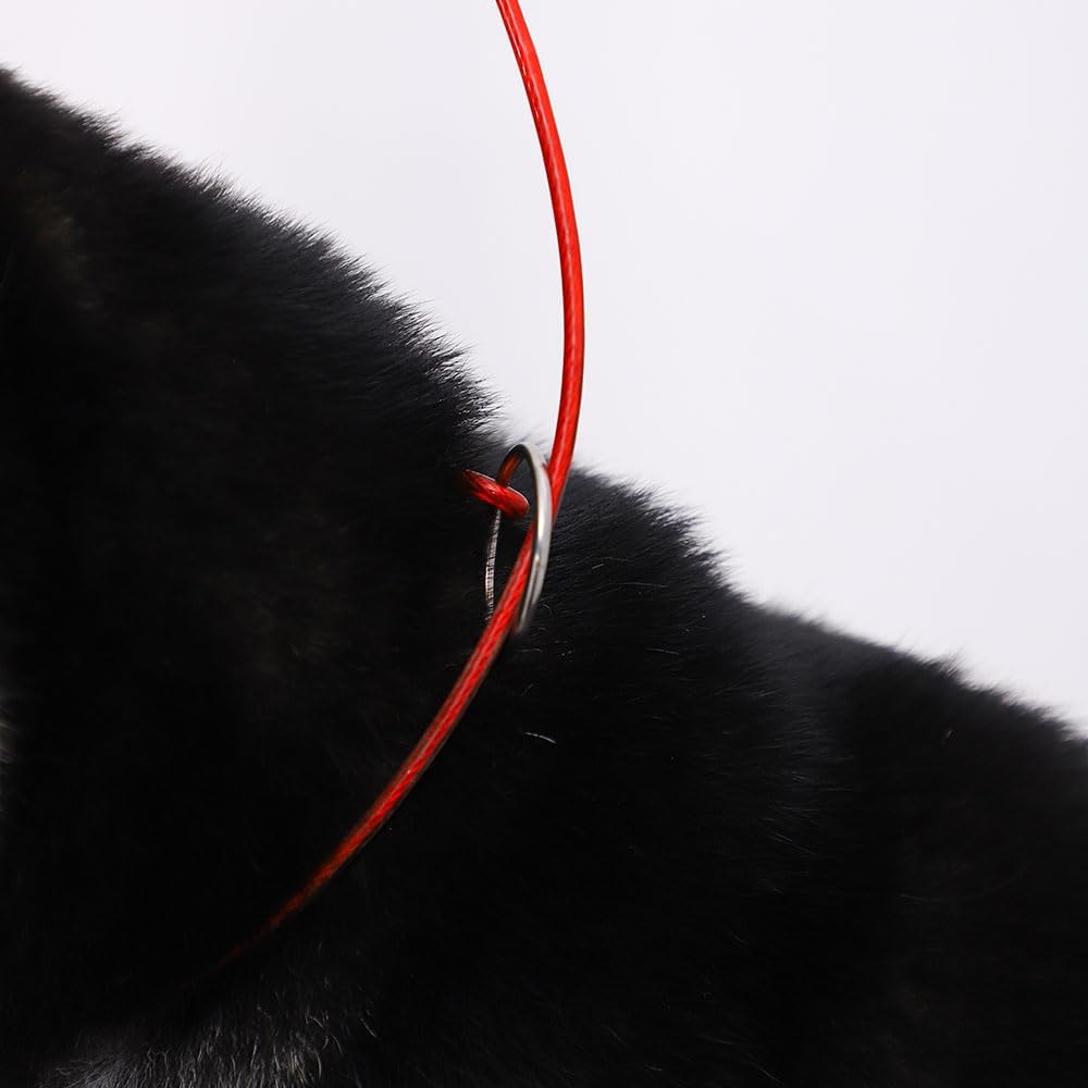 Pet Grooming Loop for Dogs - Fits Most No Sit Haunch Holder Pet Grooming Tubs and Tables Sturdy Steel Wire Rope(3 Packs) (Ring (Red)+No Sit Haunch Holder)