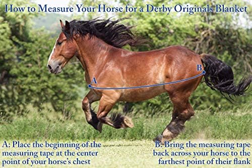 Derby Originals Nordic Tough Closed Front 420D Water Resistant Winter Mini Horse and Pony Stable Blanket 200g Medium Weight, Charcoal, 62"